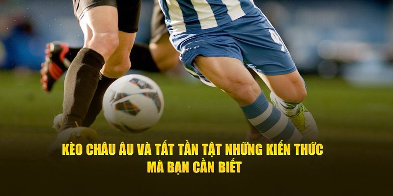 Cách Đọc Kèo Châu Âu: Hướng Dẫn Chi Tiết Cho Người Mới Bắt Đầu