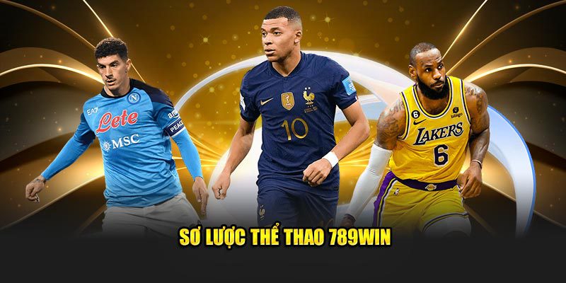 789win: Nền tảng cá cược thể thao hàng đầu và uy tín
